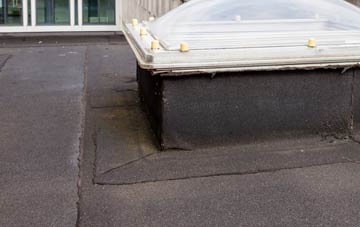 disadvantages of Coate flat roofs