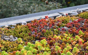 the cost of Coate green roof installation