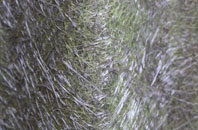 Coate fibreglass roof work